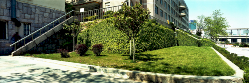 banner006