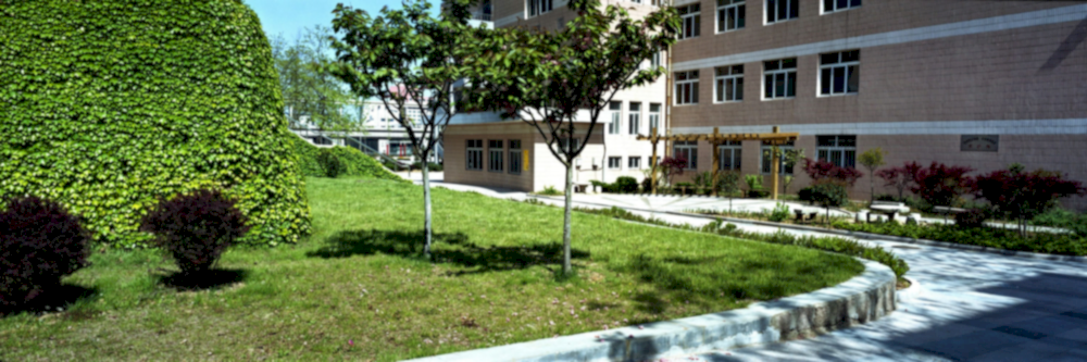 banner011