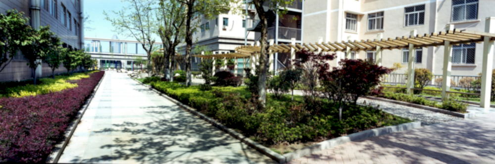 banner008